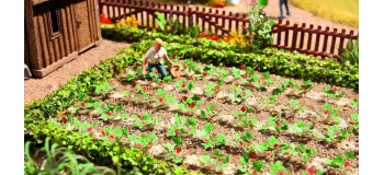 NOCH 14130 Lasers Cut Minis Fraises